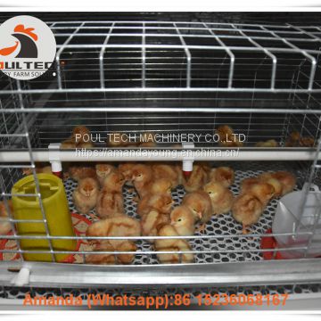 Salvador Poultry Farming A Frame Automatic Small Chicken Cage & Pullet Cage with Automatic Manure Clean Machine