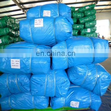 65gsm sky blue pe tarpaulin for Romania market,light blue tarpaulin sheet with bale package