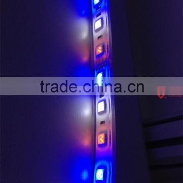 2015 New type flexible SMD5050AWB led strip light companies looking for agents