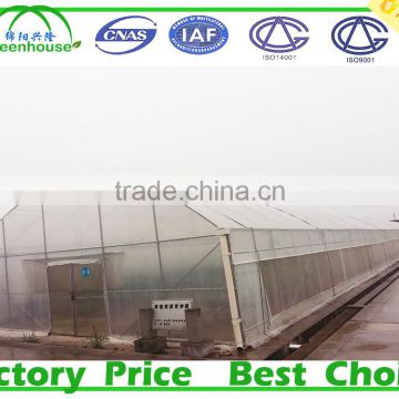 High Quality Multi Span Plastic Commercial Greenhouse for vegetable and Flower Fostering