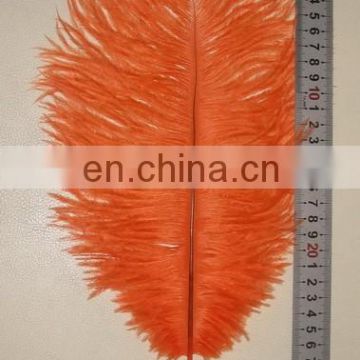 30cm Colorful Ostrich Feather For Wedding Dress 2015