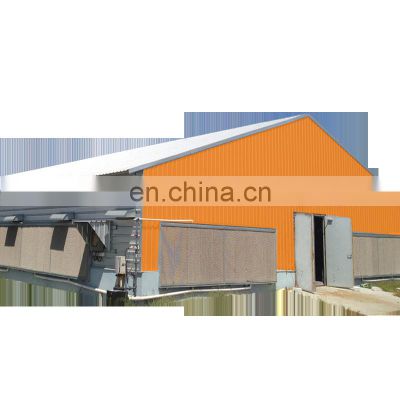 Qingdao Director Prefab Light Steel Structure Chicken Farm Poultry House