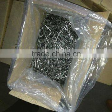 hot sale manufacturer 6 inches common nail Galvanized nail