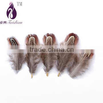 Decorative DIY feathers,wholesale beautiful pheasant feathers