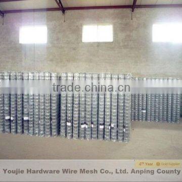 3/4"x3/4" welded wire mesh (hot sale)