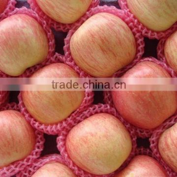 export Chinese fuji apple