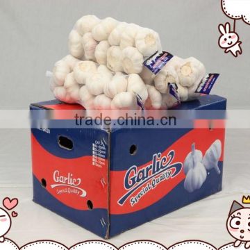 china garlic price 2016