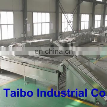 Zibo Taibo Air Bubble Vegetable and fruit processing washing machine industrial