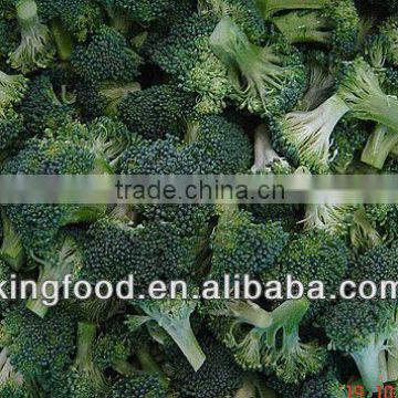 Export frozen fresh broccoli