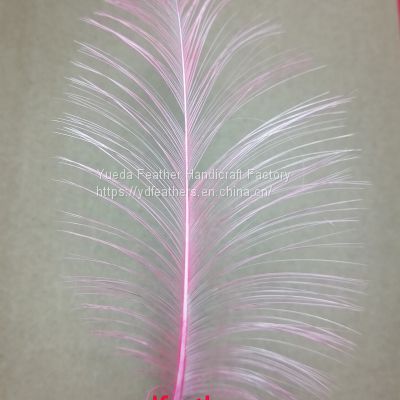 Burnt Goose Nageoires Feather Dyed Vivid Pink From China