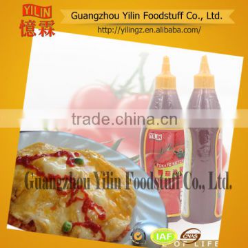 568g China factory Yilin branded tomato ketchup made in china