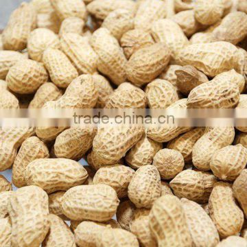 delicious peanut import china