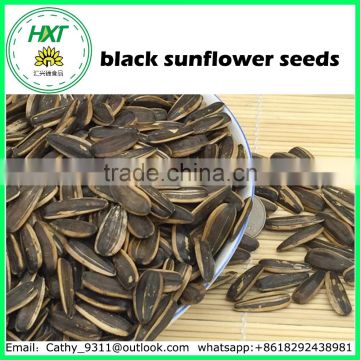 2016 new product China black sunflower seeds