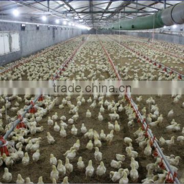 automatic poultry farm equipment