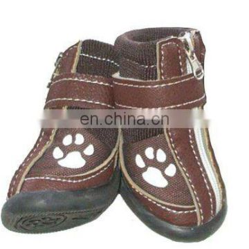 Dog Cute Paws Shoe