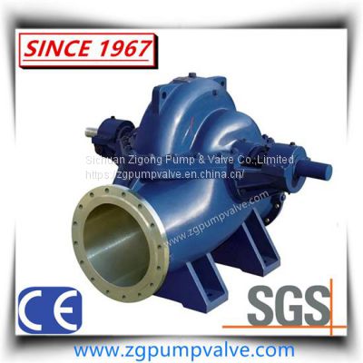 Cast Iron Double-Sided Entrance Pump for Agricultural Irrigation