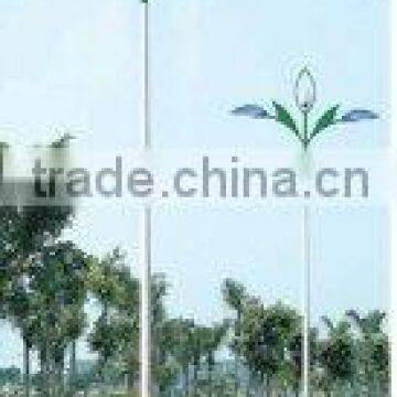 Modern Sodium Road lamp DL-32503