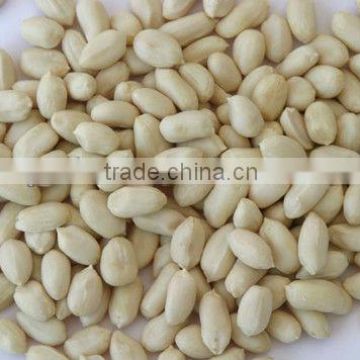 China raw peanuts prices