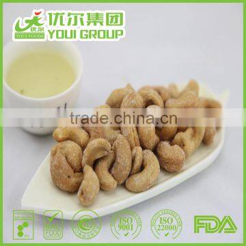 HACCP,ISO,BRC,HALAL Certification Salted Roasted Cashew with best quality and hot price