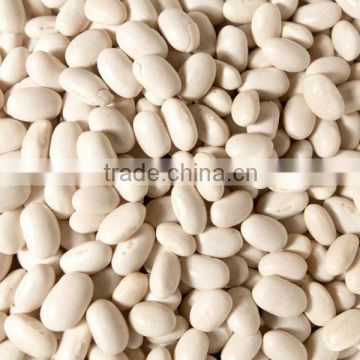 Red And White Kidney Beans For Sale