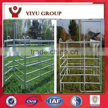 Professional steel livestock and cattle yard