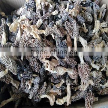 dried morel mushrooms for sale price of black morel mushroom magic mushrooms dried