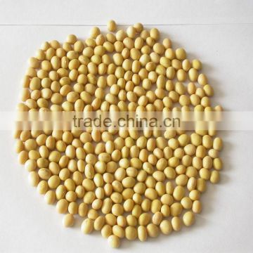 JSX organic yellow soybeans Mayanmar Origin export soya beans processed