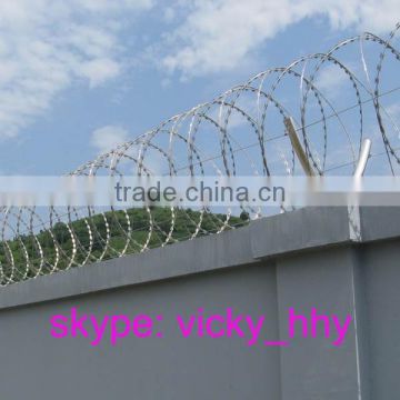 Cheap 500mm coil diameter hot dip galvanized concertina wire from factory