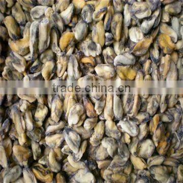 Delicious Bule Mussel Meat