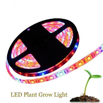 DC12V LED Grow Light 5M IP65 Waterproof Plant LED Strip 5050 for Greenhouse Hydroponic Aquarium Plant Growth Light