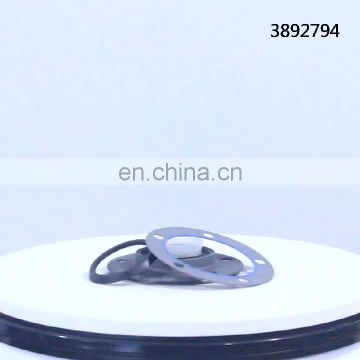 3892794 Oil Seal for cummins  cqkms M11-350E M11diesel engine spare Parts  manufacture factory in china