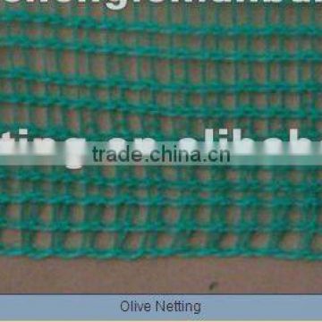 Olive Netting