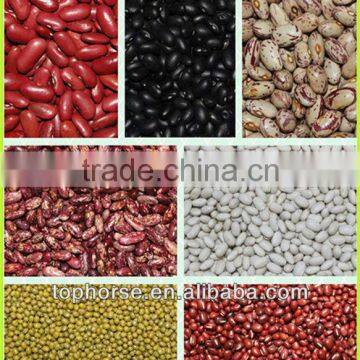 kidney beans market price New Crop Heilongjiang Origin 2013 hot sale crop