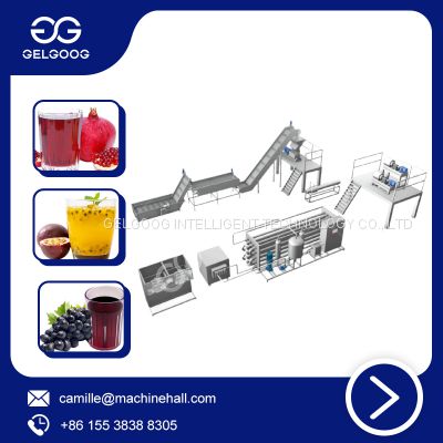 Stainless Steel  Automatic Passion Juice Processing Equipment