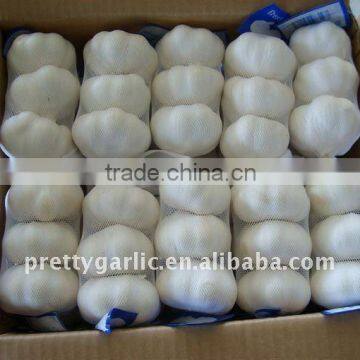 China garlic