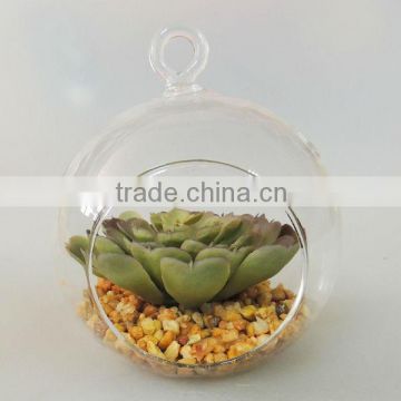 round glass ball plant for dormitory decorating