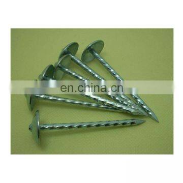 Hot Sell galvanized Q195 wire rod roofing nails
