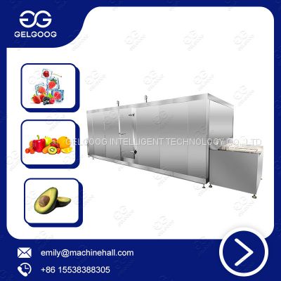 Iqf Fluidized Tunnel Freezer Fast Speed Freezer Spiral And Tunnel Freezer Systems Manufacturer