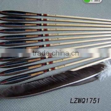 Feather Arrows LZWQ1751