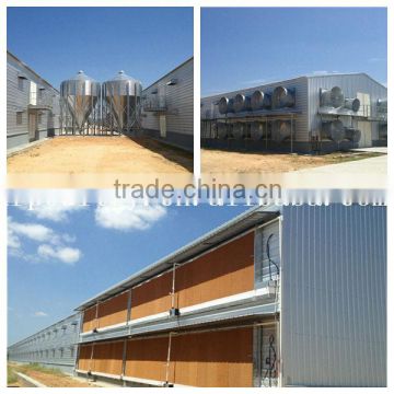 turnkey plant poultry chicken farm building