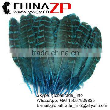 Hotselling CHINAZP Dyed Turquoise Blue Ringneck Wing Quills Feather for Party Decoration