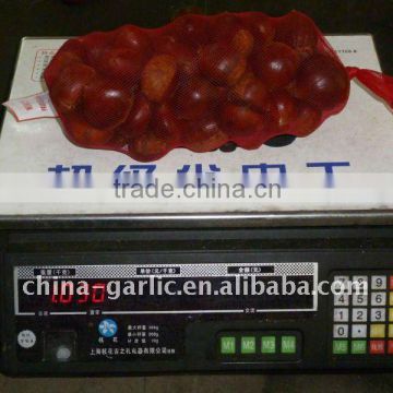 1kg/bag Fresh Chestnuts 2012 Price in China