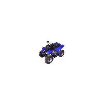 ATV/QUAD BIKE