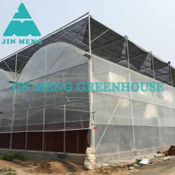 Easy Installed Vegetables Planting Outdoor Greenhouse Plastic Film Greenhouse