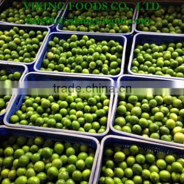 FROZEN SEEDLESS LIME _ HIGHT QUALITY _ GOOD PRICE