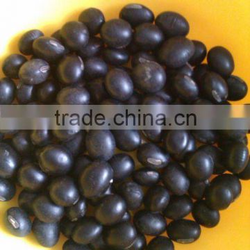 Black Soybean with Yellow Inside(2010 crop, Heilongjiang Origin)