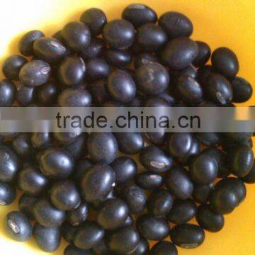 Black Soybean with Yellow Inside(2010 crop, Heilongjiang Origin)