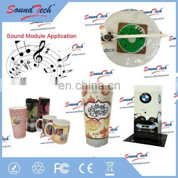 ICTI Certrification supplier water proof music chip