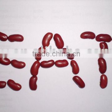 Dark Red Kidney Beans Crop 2016