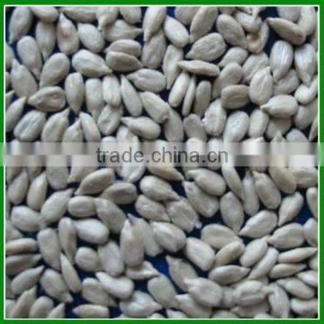 Sale 2015 High Quality Sunflower Kernels For Human Eating